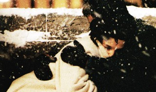 ポンヌフ　アイコン2