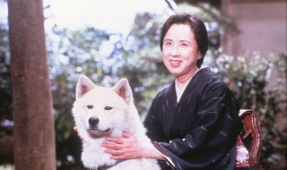 ハチ公物語　１ （C）