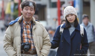 スプリング、ハズ、カム