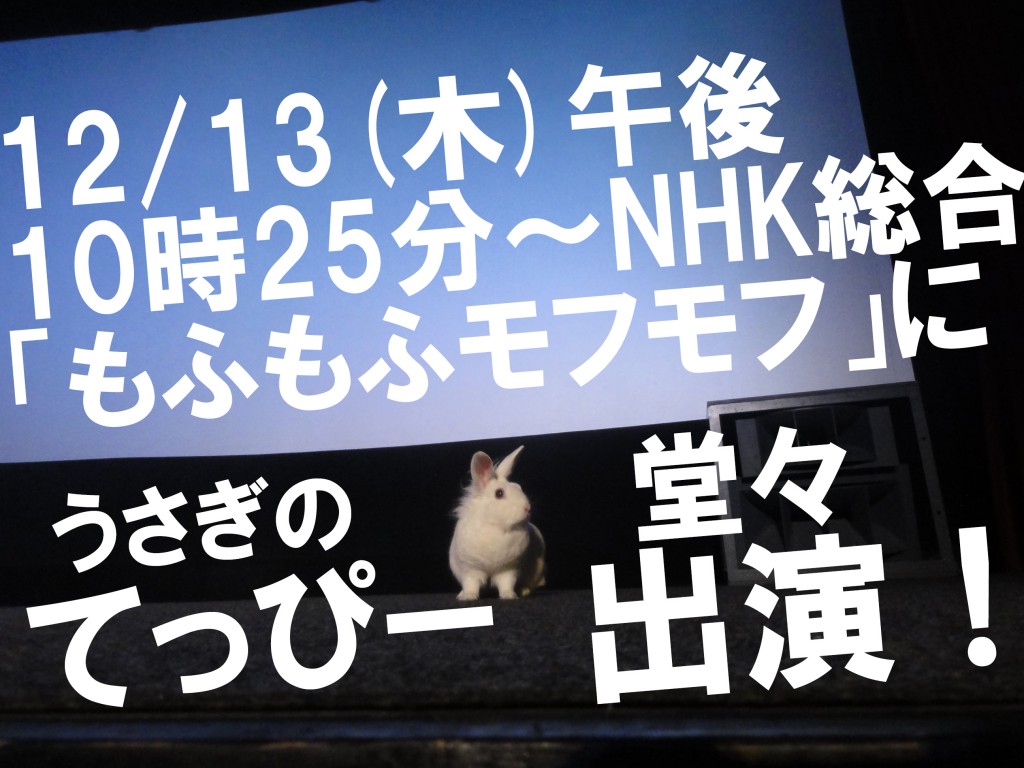 も　も　も　も