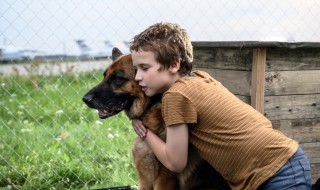 ハチとパルマの物語_メイン画像