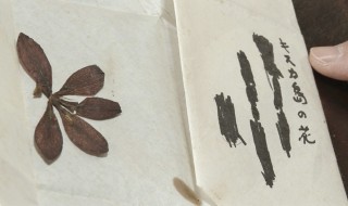 霧が晴れるとき h