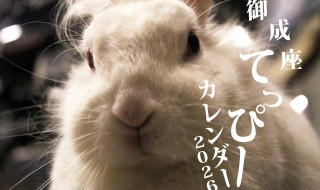 てっぴーカレンダー表紙オモテ